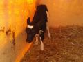 20140606_103220.jpg